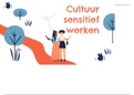 Presentatie Cultuursensitief werken in zorg en welzijn (S27) 