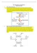 BIOL 3362/CHEM 3362 - BIOCHEMISTRY II EXAM 4 STUDY GUIDE