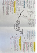 Electoral Systems Summary Edesxcel A Level Politics