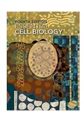 Essential Cell Biology 4th Edition Bruce Alberts Test Bank