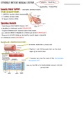 Somatic Nervous System (SNS) 