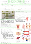 samenvatting van biologie hoofdstuk 11 en 12 