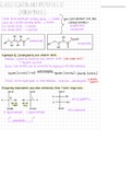 Organic Chemistry II Carbohydrate Notes 