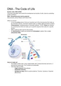 Matric DNA and RNA