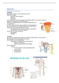 Samenvatting Nierfalen