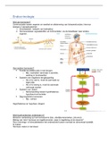 Samenvatting endocrinologie