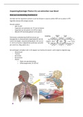 Samenvatting Exercise Physiology Hoofdstuk 12,13,14 (Thema 2)