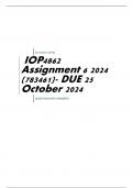 IOP4862 Assignment 6 2024 (783461)- DUE 25 October 2024