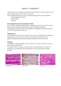 Biologie havo 4 - Hoofdstuk 7 - Spieren