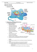 Zusammenfassung Zelllehre