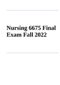 Nursing 6675 Final Exam Fall 2022