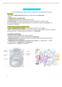 19/20 - Opgeloste examenvragen nierfysiologie prof. Vennekens