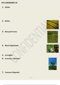 Agronomy Written Test Bundle With Comprehensive Questions and Answers 100% Accuracy