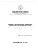 inteligencias artificial y sus efectos en el principio de inmediación en sentencias de carácter pena