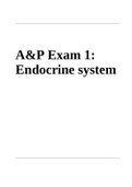 A&P 1 101 Exam 1: Endocrine system 2022