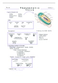 BIOL 240 General Microbiology Lecture 7