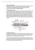 Unit 21 - Medical Physics Applications learning aim A&B