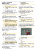 FUNDAMENTALS IN NURSING (NCM) |QUESTIONS & ANSWERDS 2022 UPDATE