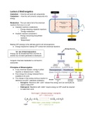 Microbial Metabalism (BB090) Summary of all lectures