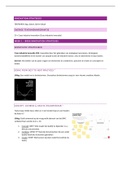 (Cijfer 6) Samenvatting  Innovation Strategies (ENTINO01J2)