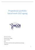 Propedeuse portfolio social work fase 1 