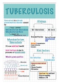 Robbins Pathology Summary - Tuberculosis