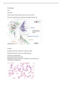 Samenvatting  Microbiologie & theorie van de praktijk.