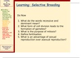 Presentation - Selective Breeding