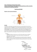 Unit 8: Physiology of Human Body Learning Aim C