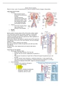 Powerpoints in outline format with lecture notes