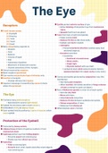 The Eye [Grade 12 Life Science/Biology]