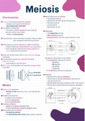 Meiosis [Grade 12 Life Science/Biology]