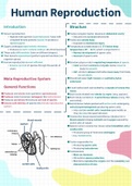 Human Reproduction [Grade 12 Life Science/Biology]