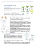 T-cel receptor differentiatie 