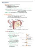 Reproductive Systems Summary  FLG 222 (FLG222)