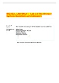 BIO202L LAB ONLY | Lab 14 The Urinary System Questions And Answers