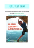 Human Anatomy and Physiology 2nd Edition Amerman Test Bank