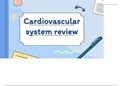 Cardiovascular system summary grade 10 life science 