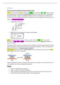 Clear and complete summary of Tumor Immunology (TI) / Duidelijke en complete samenvatting van Tumor Immunology (TI)