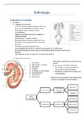 Samenvatting nefrologie 