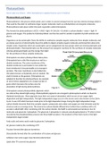 BTEC Level 3 Applied Science Unit 10 Assignment C - Photosynthesis