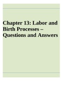 Chapter 13: Labor and Birth Processes – Questions and Answers