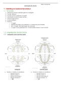 Morfologie der tanden volledige samenvatting