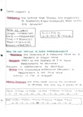 Scientific Notation