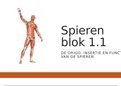 Anatomie In Vivo Blok 1.1 Fysiotherapie