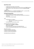 Sep1 Neuro notes