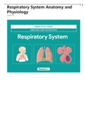Exam (elaborations) Respiratory System Anatomy and Physiology study guide with answers and questions 