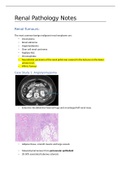 RENAL PATHOLOGY