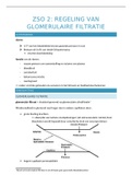 ZSO 2_Regeling van glomerulaire filtratie