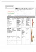 FUNCTIONELE ANATOMIE EXAM NEWEST 2024 WITH COMPLETE 180 QUESTIONS AND CORRECT VERIFIED ANSWERS (DETAILED ANSWERS) ALREADY GRADED A+ 100% GUARANTEED TO PASS CONCEPTS!!!